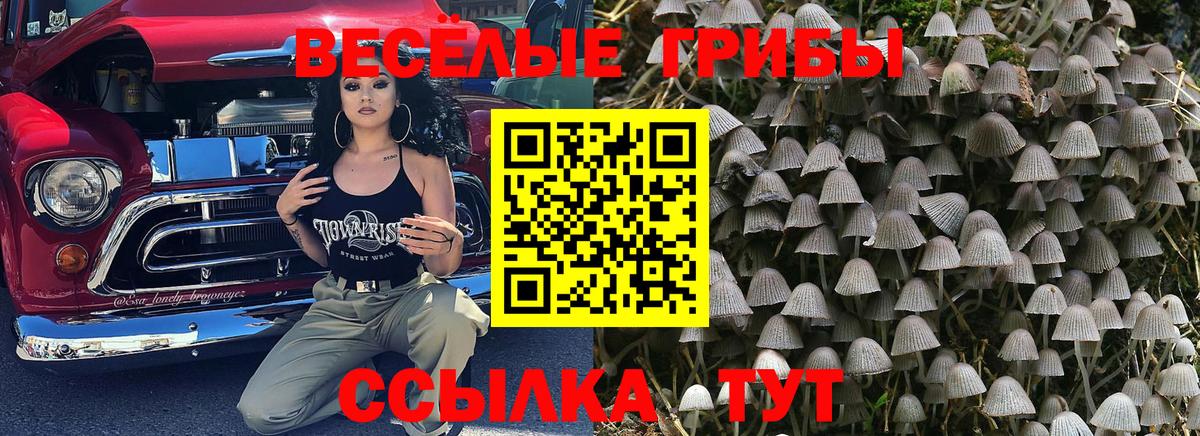 Псилоцибиновые грибы мухоморы Саяногорск