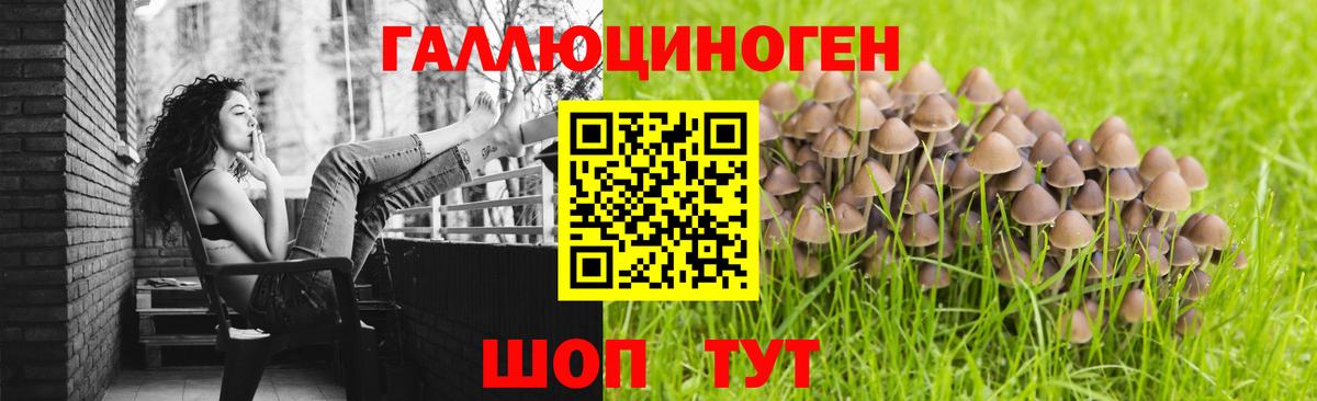 Галлюциногенные грибы Cubensis  Вход с VPN  Саяногорск  сколько стоит  Псилоцибиновые грибы GOLDEN TEACHER 